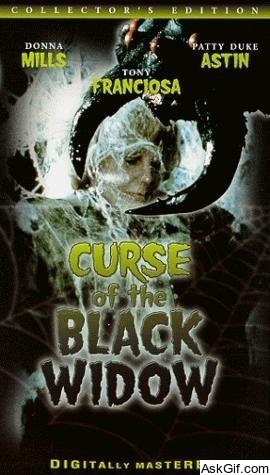Curse of the Black Widow