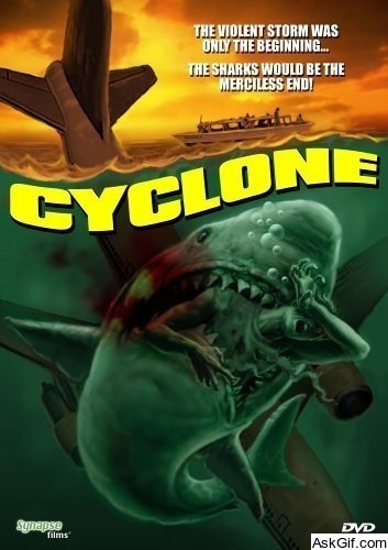 Cyclone