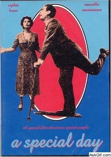 A Special Day