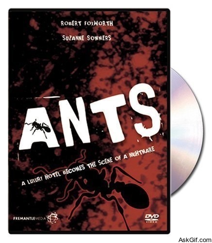 Ants!