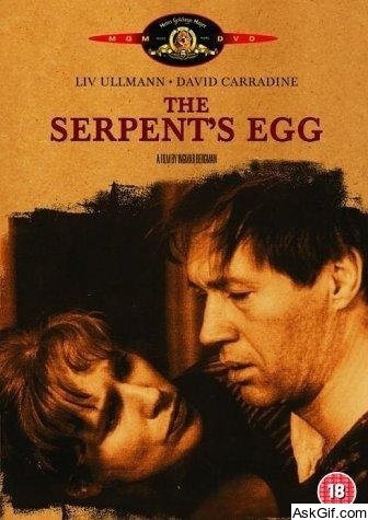 The Serpent's Egg