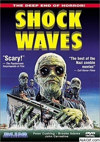 Shock Waves