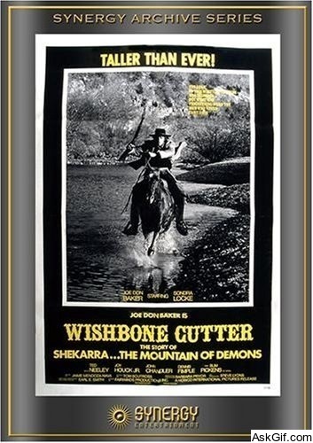 The Shadow of Chikara