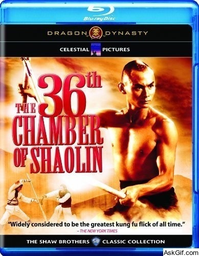 The 36th Chamber of Shaolin