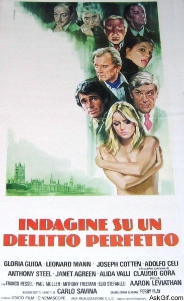 Indagine su un delitto perfetto