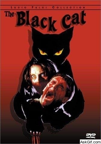 The Black Cat