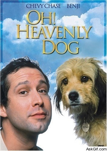 Oh Heavenly Dog