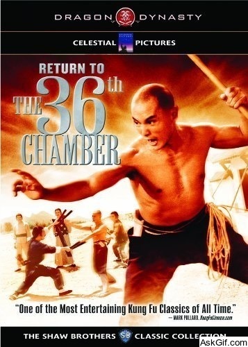 Return to the 36th Chamber