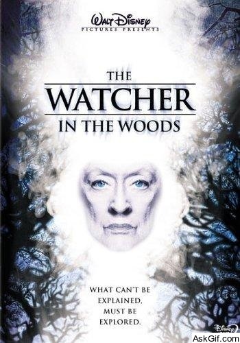 The Watcher in the Woods