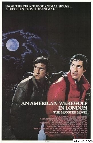 An American Werewolf in London
