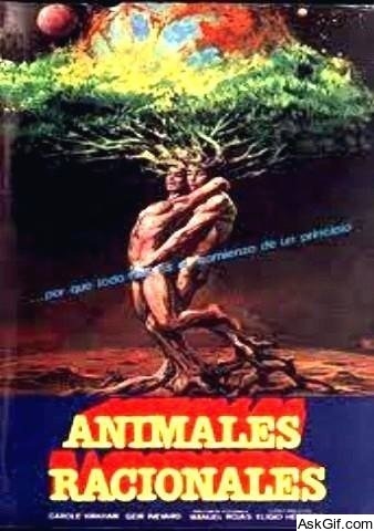 Animales racionales