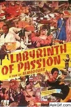 Labyrinth of Passion