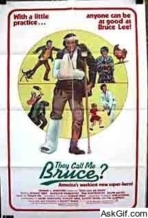 They Call Me Bruce