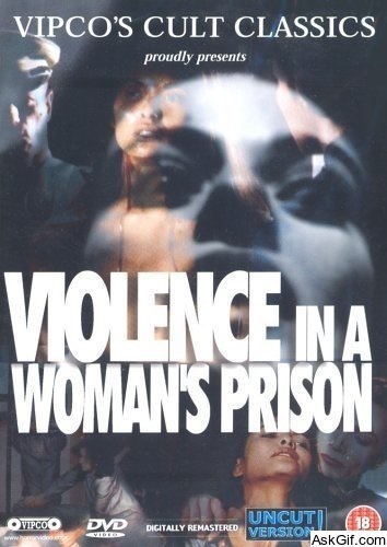 Violence in a Women's Prison