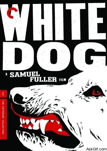 White Dog