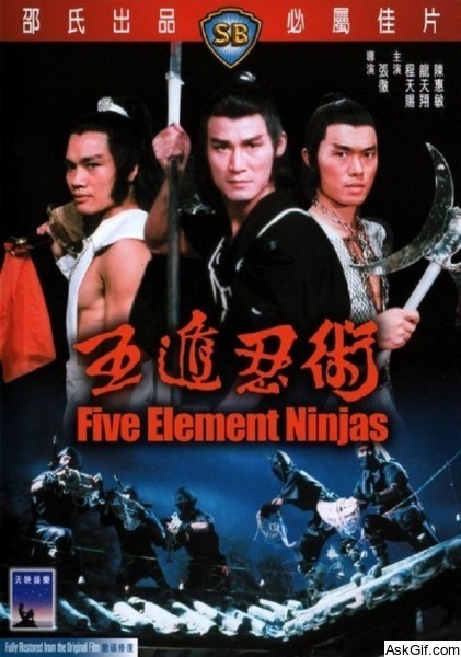 Five Elements Ninjas