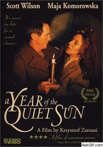 A Year of the Quiet Sun
