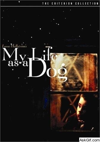 My Life as a Dog