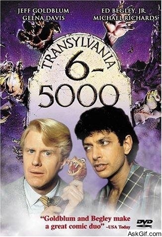 Transylvania 6-5000