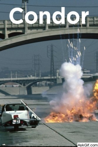 Condor