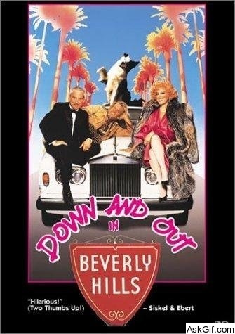 Down and Out in Beverly Hills