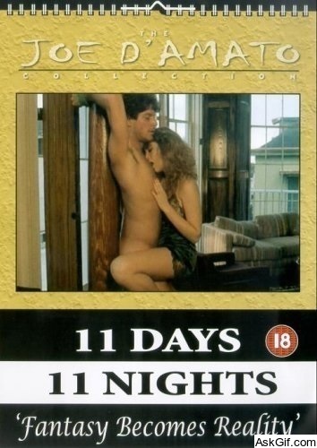 Eleven Days, Eleven Nights