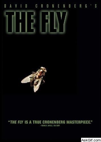 The Fly