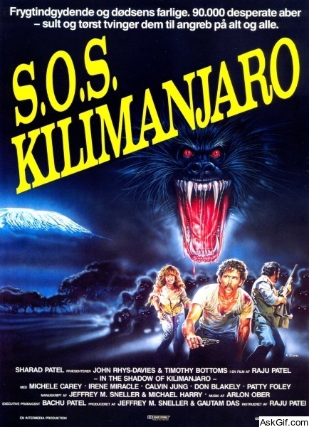 In the Shadow of Kilimanjaro