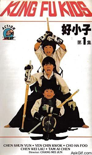 Young Dragons: Kung Fu Kids