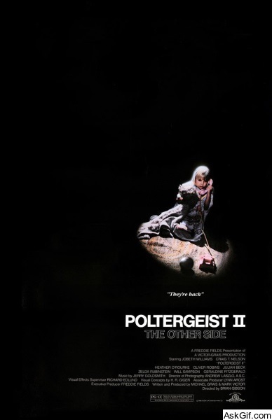 Poltergeist II: The Other Side