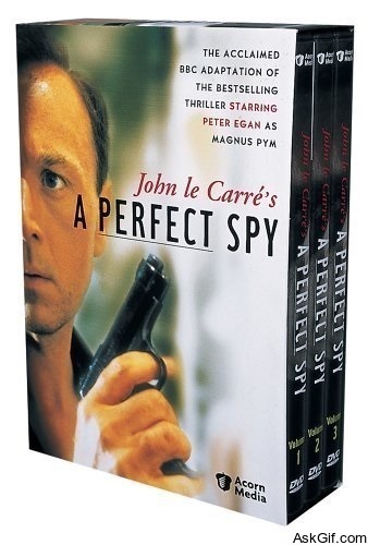 A Perfect Spy