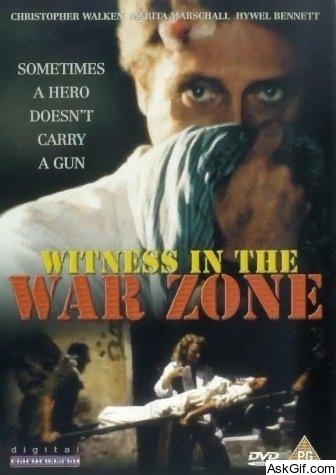 Witness in the War Zone