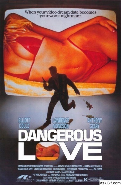 Dangerous Love