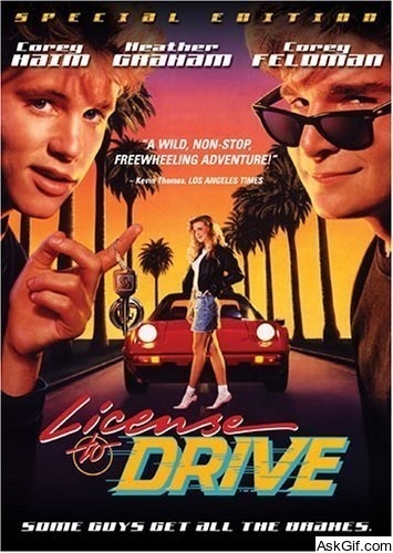 License to Drive