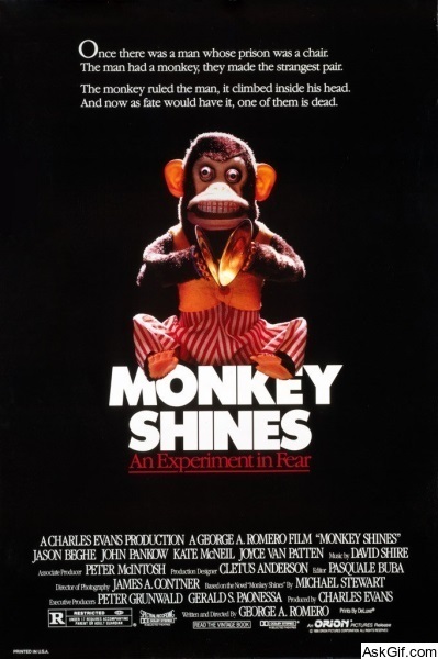 Monkey Shines