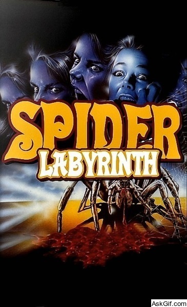 The Spider Labyrinth