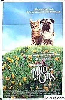 The Adventures of Milo and Otis
