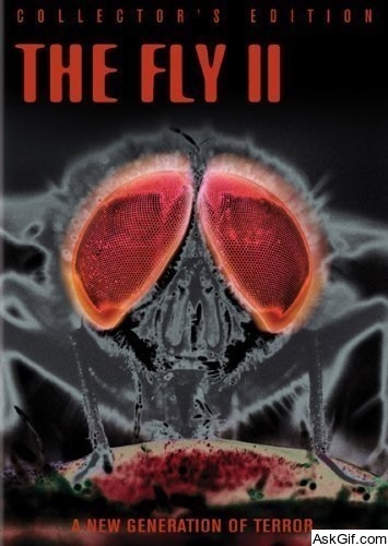 The Fly II