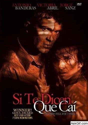 If They Tell You I Fell