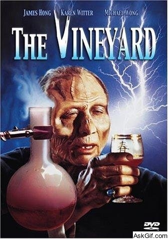 The Vineyard