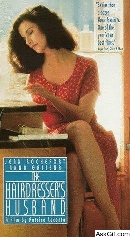 The Hairdresser's Husband