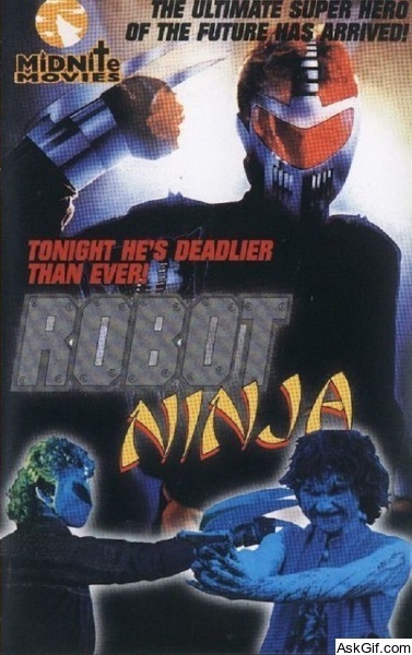 Robot Ninja