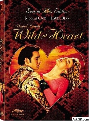 Wild at Heart