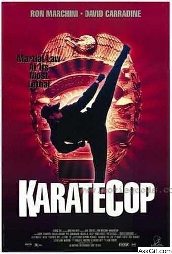Karate Cop