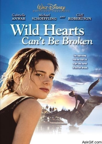 Wild Hearts Can't Be Broken