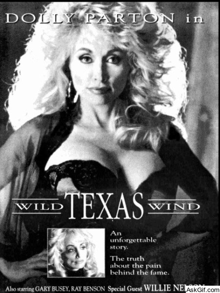 Wild Texas Wind