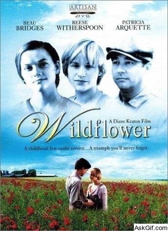 Wildflower