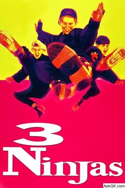 3 Ninjas