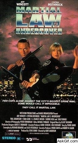 Martial Law II: Undercover