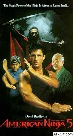 American Ninja 5